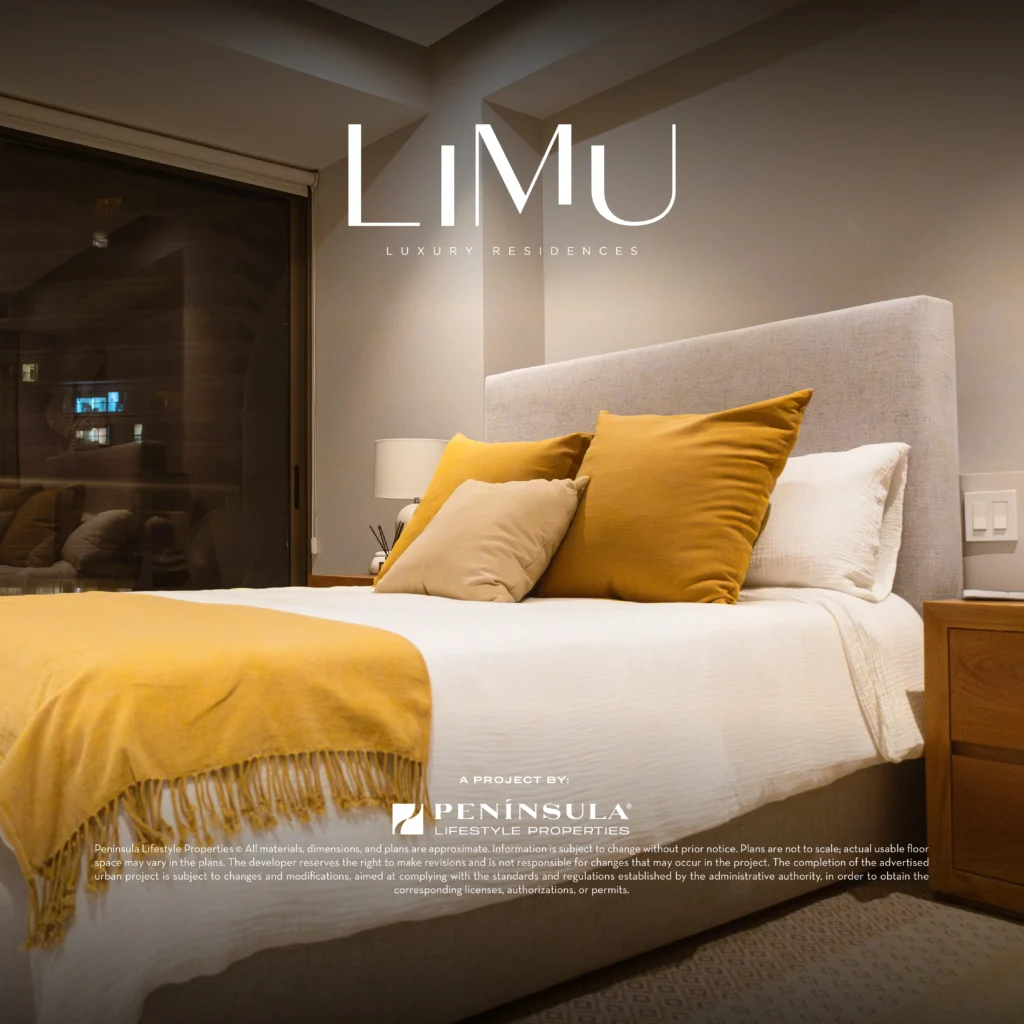 Limu (Noviembre 2025) Avances de Obra - Post_Mesa de trabajo 1 copia 5