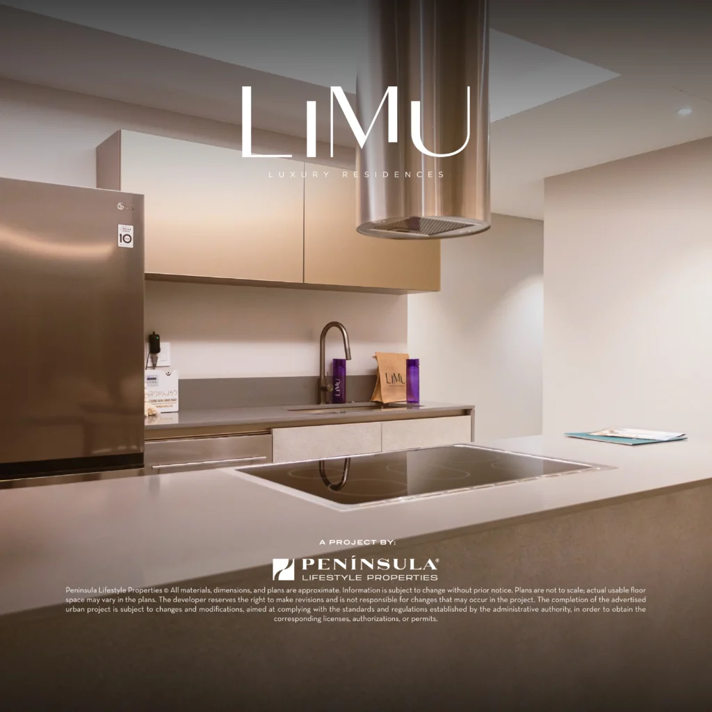 Limu (Noviembre 2025) Avances de Obra - Post_Mesa de trabajo 1 copia 7