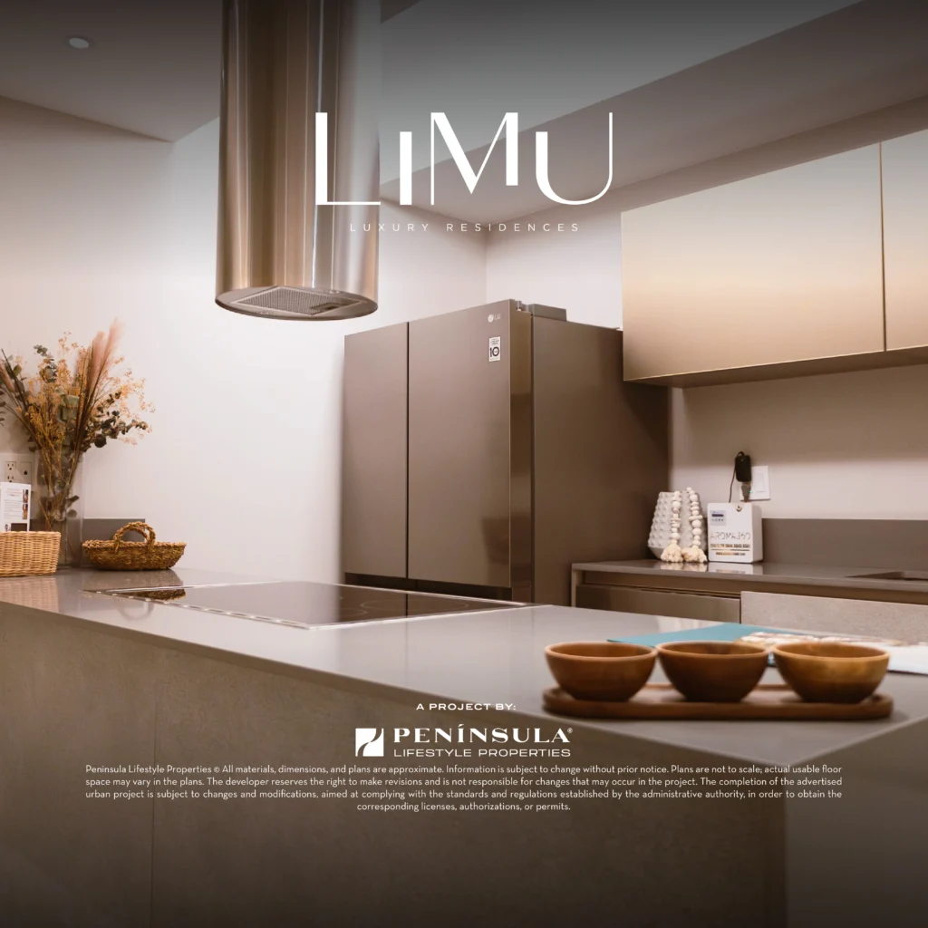 Limu (Noviembre 2025) Avances de Obra - Post_Mesa de trabajo 1 copia 8