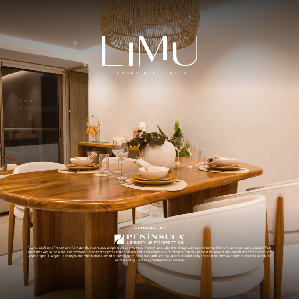 Limu (Noviembre 2025) Avances de Obra - Post_Mesa de trabajo 1 copia 9